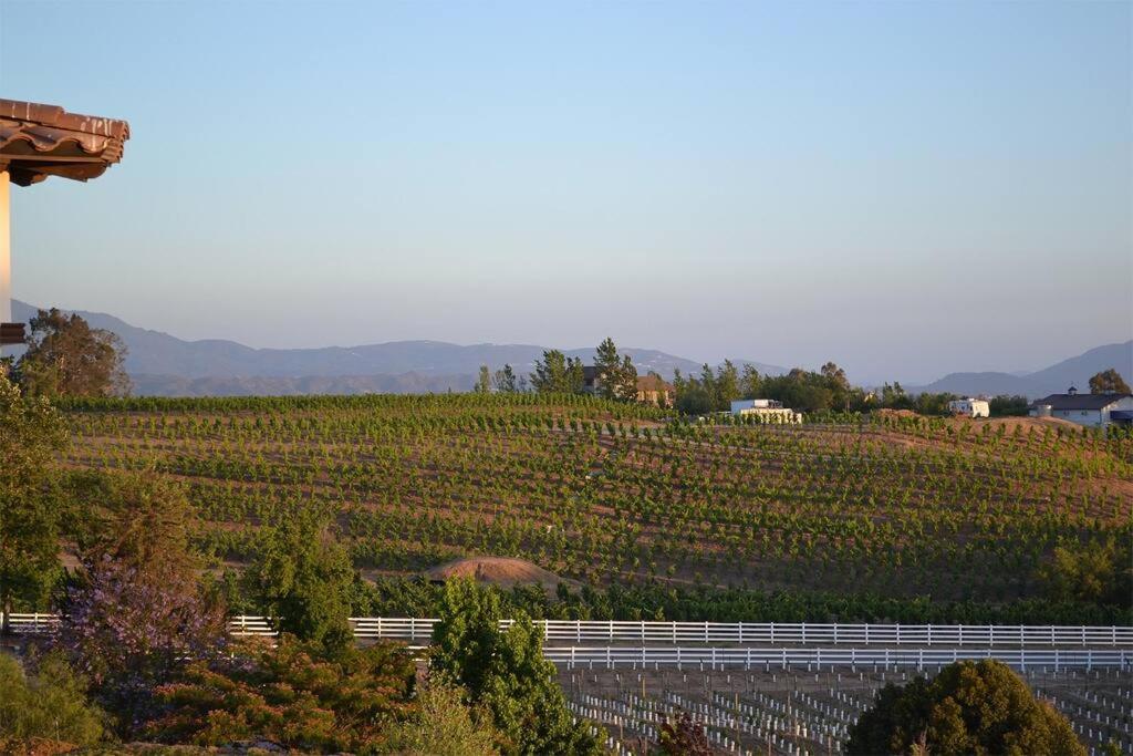 Que Syrah Temecula - Villa With 9 Bedroom 7 Ba With Spa In Wine Country Zewnętrze zdjęcie