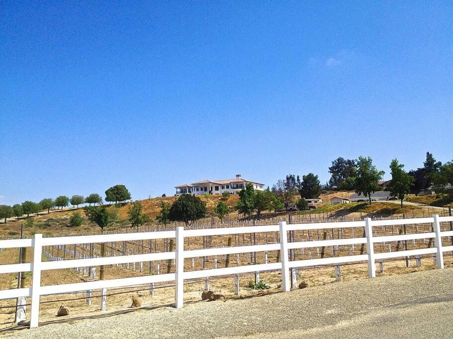 Que Syrah Temecula - Villa With 9 Bedroom 7 Ba With Spa In Wine Country Zewnętrze zdjęcie